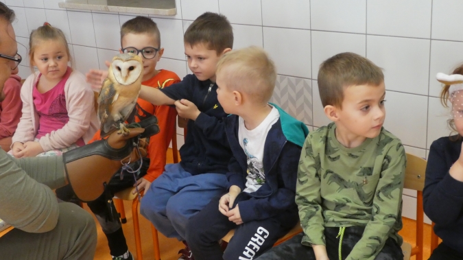 Ptasia wizyta